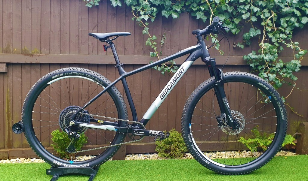 bergamont 29er